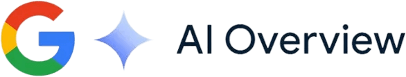Google AI Overview
