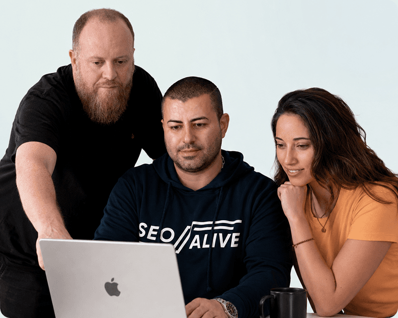 SEO Alive team at work