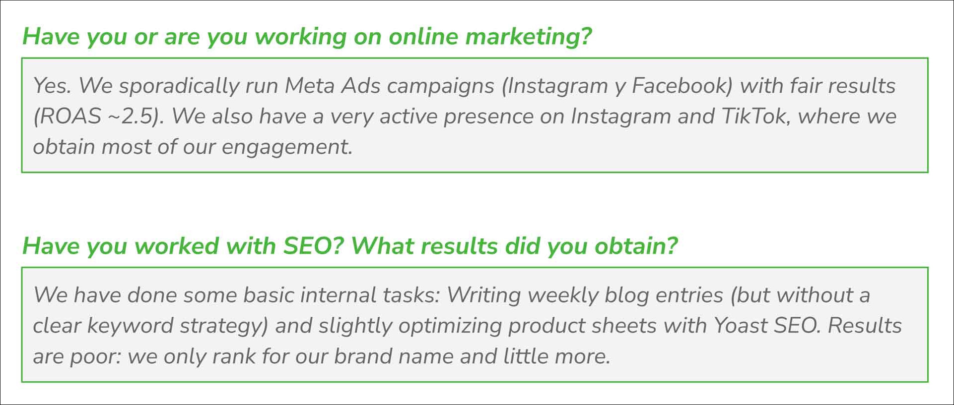 History in SEO Alive's Marketing brief