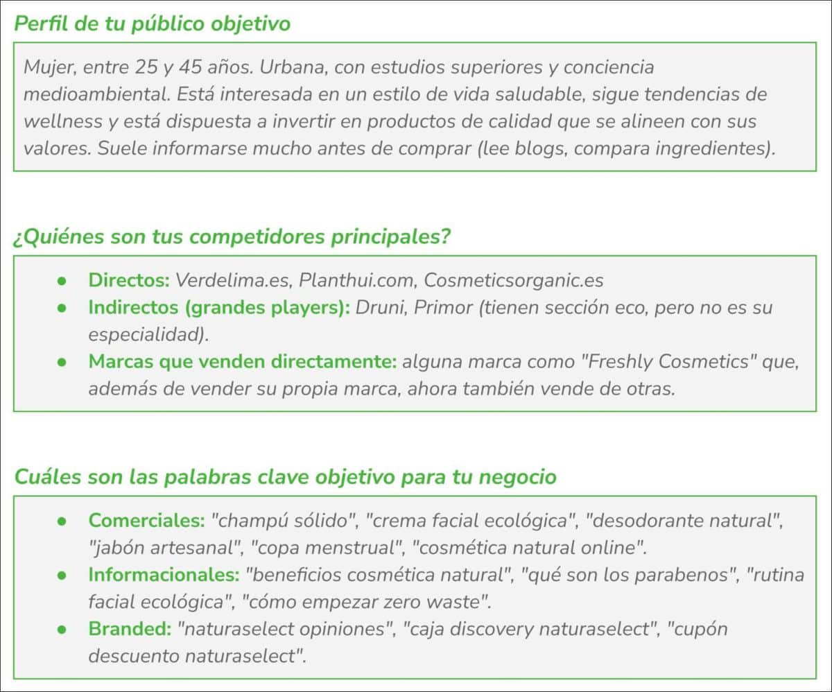 Perfil del públic objectiu del Briefing SEO de SEO Alive