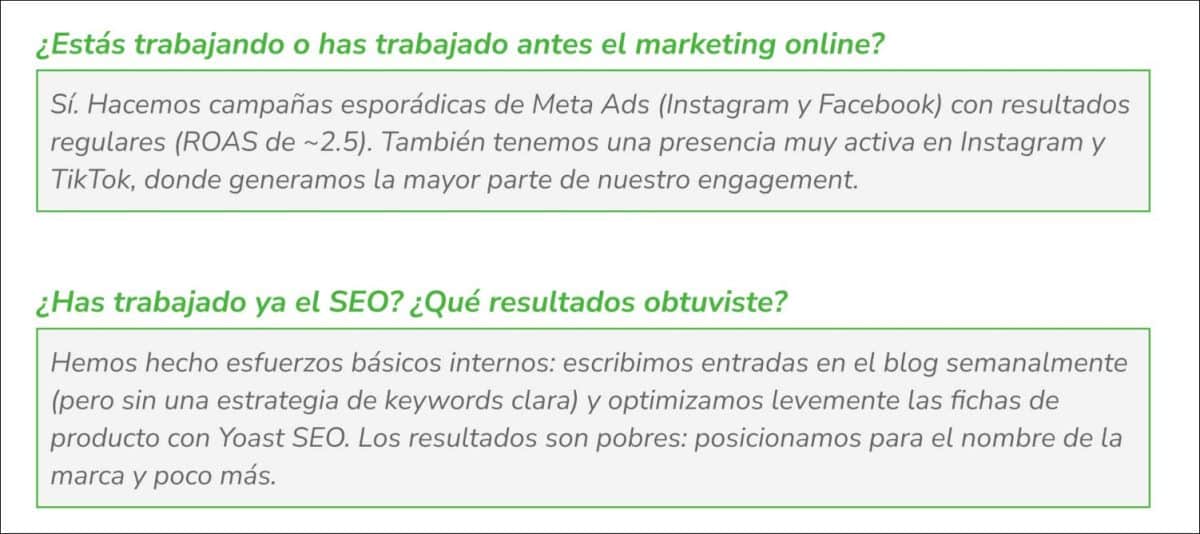 Històric en Briefing SEO de SEO Alive
